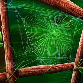 Spiderweb wallpaper