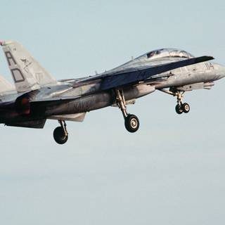F14 pictures
