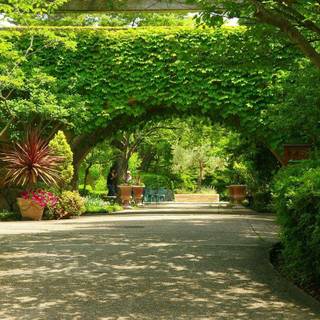 Japanese landscape wallpaper