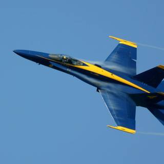 Blue angel wallpaper