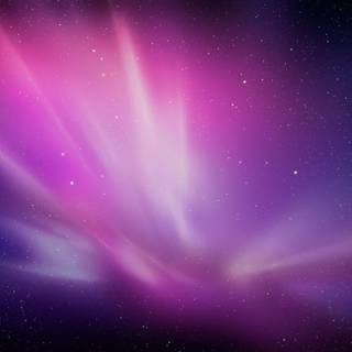 Purple pink wallpaper