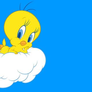 Tweety wallpaper