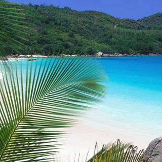 Download free wallpaper for laptop