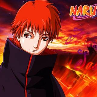 Sasori wallpaper