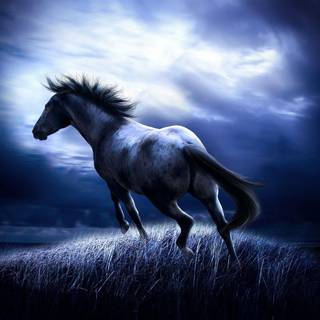 Free horse wallpaper for computer