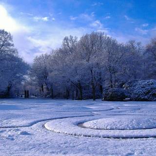 Winter wallpaper 1024x768