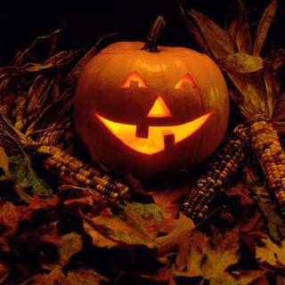 Free Halloween backgrounds