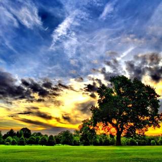 Nature computer backgrounds