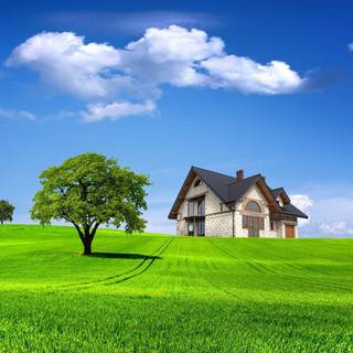 New nature wallpaper