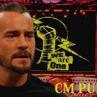 WWE wallpaper 1024x768