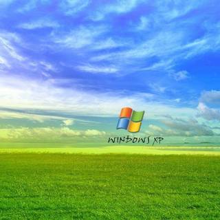 Window xp background