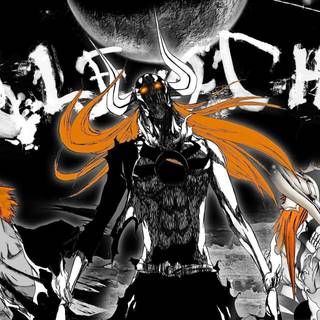 Bleach wallpaper