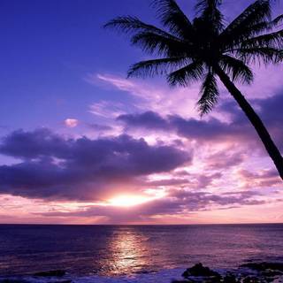 Cool backgrounds desktop