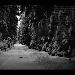 Black metal wallpaper