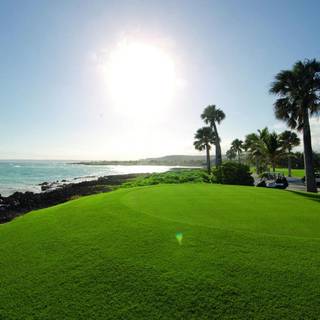 Online desktop wallpaper