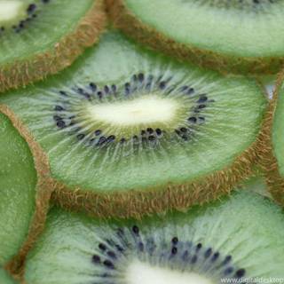 Kiwi wallpaper