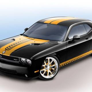 Wallpapers of muscle cars