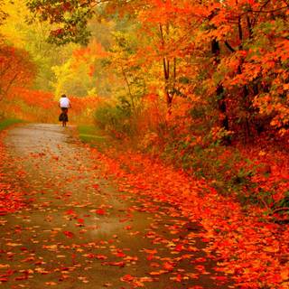 Beautiful day wallpaper