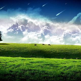 Shooting stars wallpaper