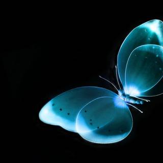 Google desktop background pictures