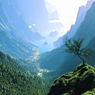 Live wallpaper backgrounds