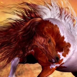 Paint horse wallpaper