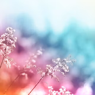 Abstract desktop background