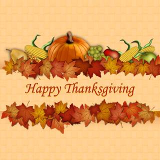 Turkey thanksgiving wallpaper