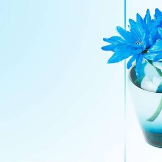 Nice picture for desktop background