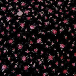 Black rose background