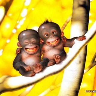 Cartoon monkey wallpaper