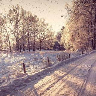 Winter wallpaper for Mac