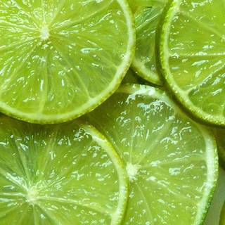 Green background wallpaper