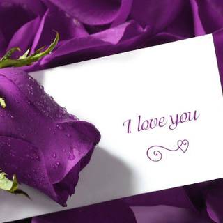 Download cute love pictures