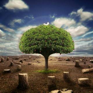 Latest nature wallpaper