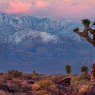 Death Valley wallpaper