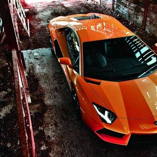 1600x900 HD wallpaper