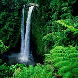 Waterfall background