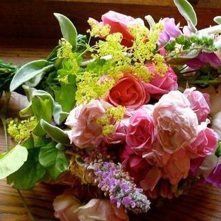 Natural flowers images