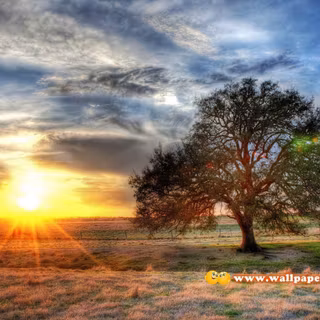 Cool nature wallpaper HD