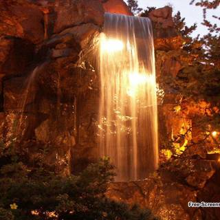 Free google screensavers