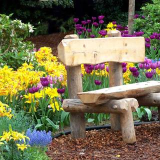 Flower garden background