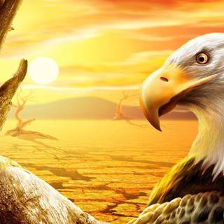 Eagle background pictures