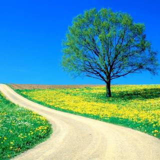 Landscape background images