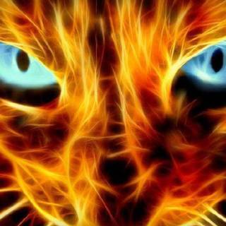 Awesome desktop backrounds