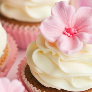 Pink cupcake wallpaper