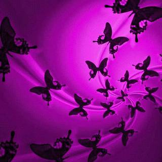 Butterfly backgrounds free