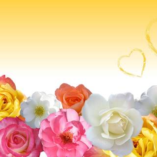 Love flowers wallpaper