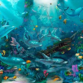 Dolphin wallpaper