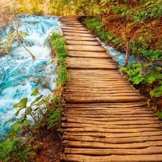 Free scenery wallpaper for desktop